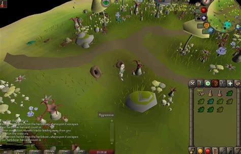 Different sets of tasks will grant different rewards from Peter, who can be found panning just west of the Museum Camp. . Numulite osrs